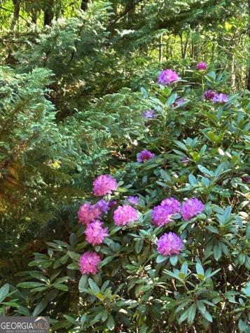 46 Private Drive Ellijay GA 30536