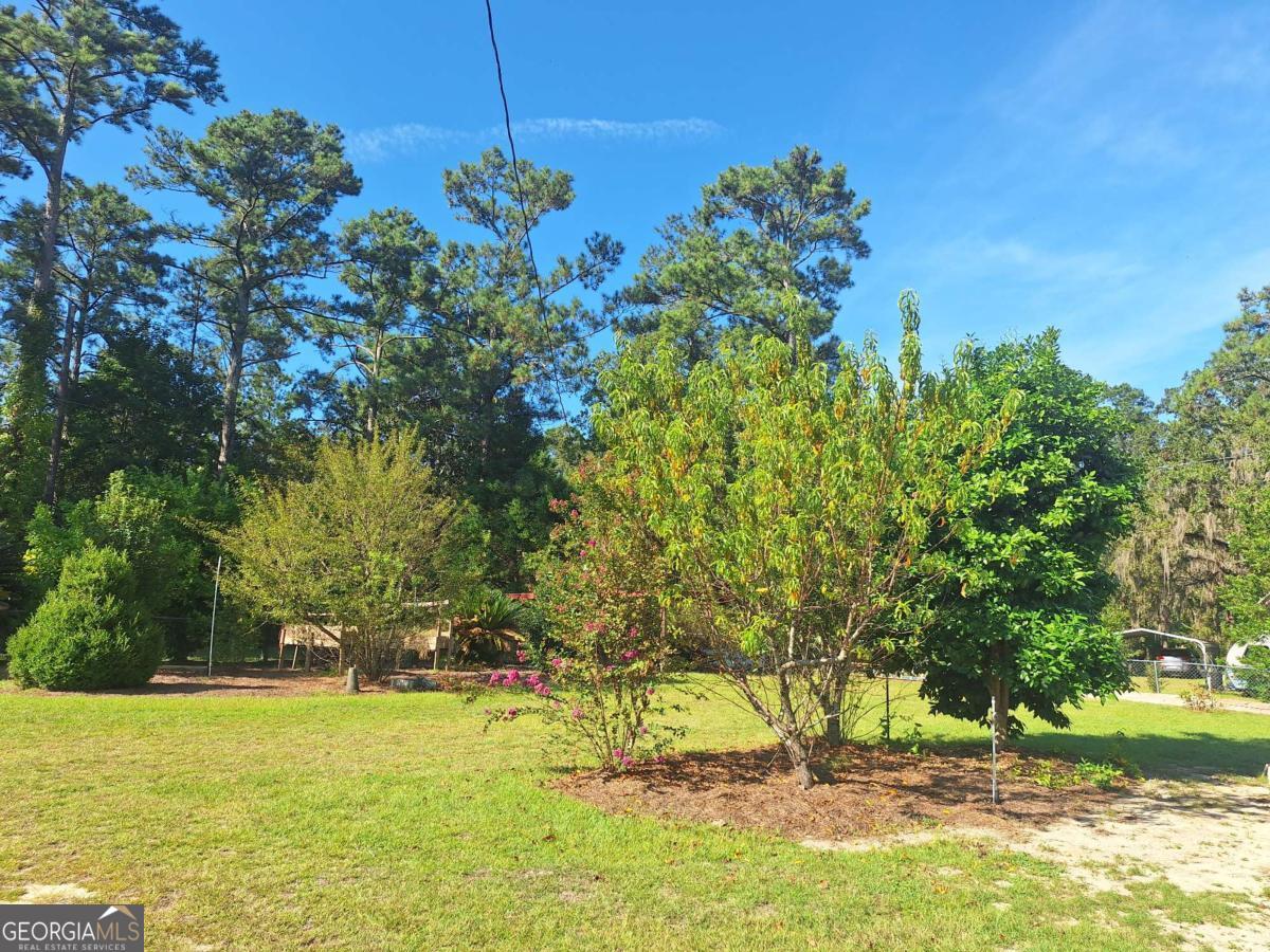 163 High Bluff Road Baxley GA 31513
