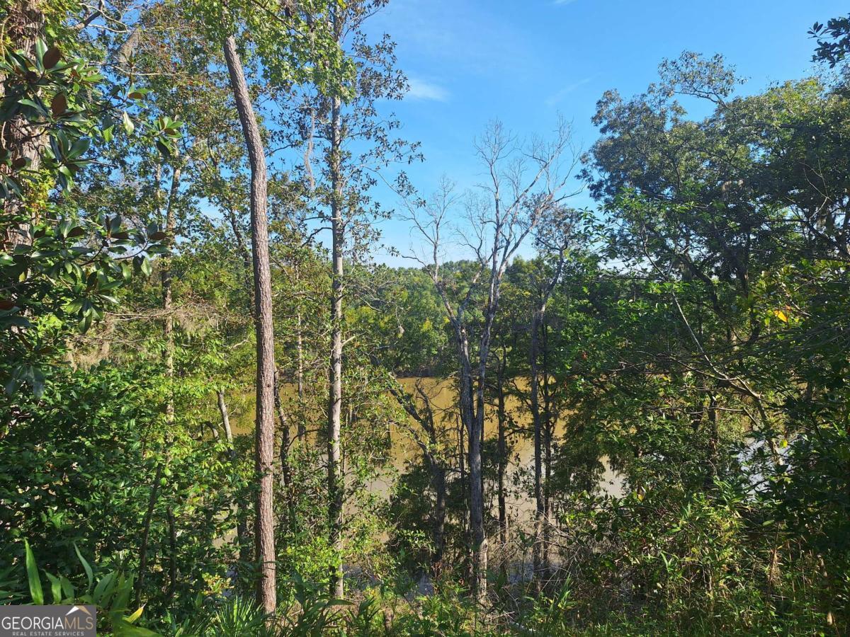 163 High Bluff Road Baxley GA 31513