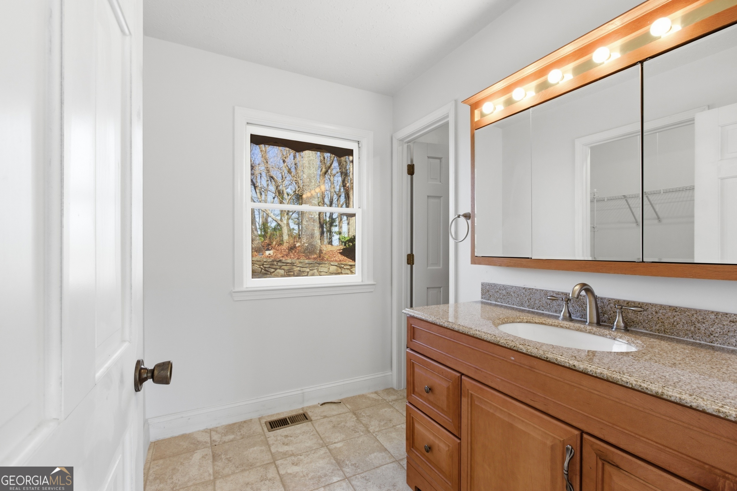 137 Pleasant Mountain Drive Sky Valley GA 30537