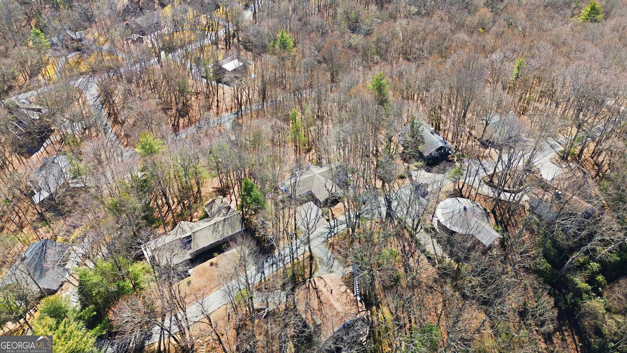 137 Pleasant Mountain Drive Sky Valley GA 30537