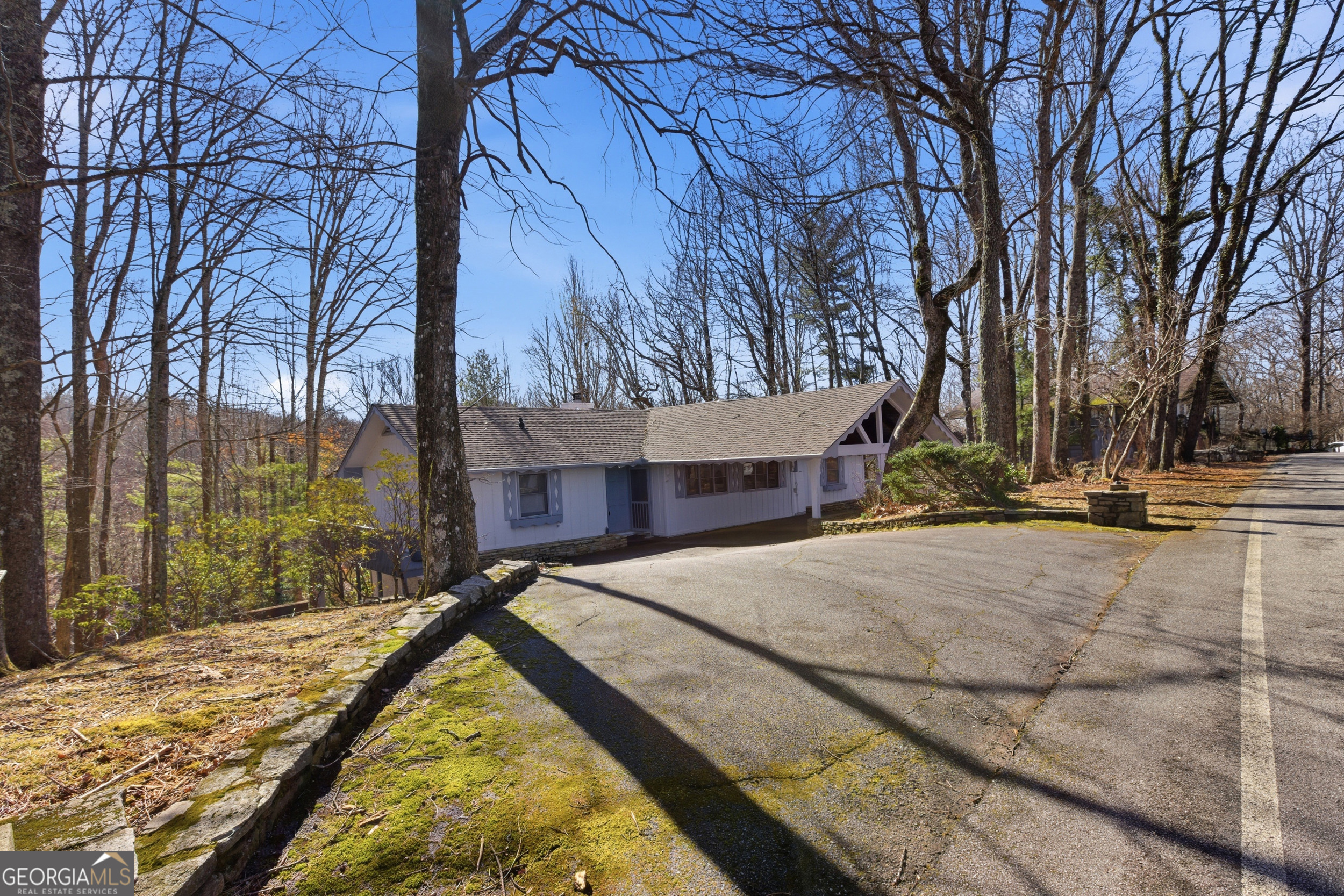 137 Pleasant Mountain Drive Sky Valley GA 30537