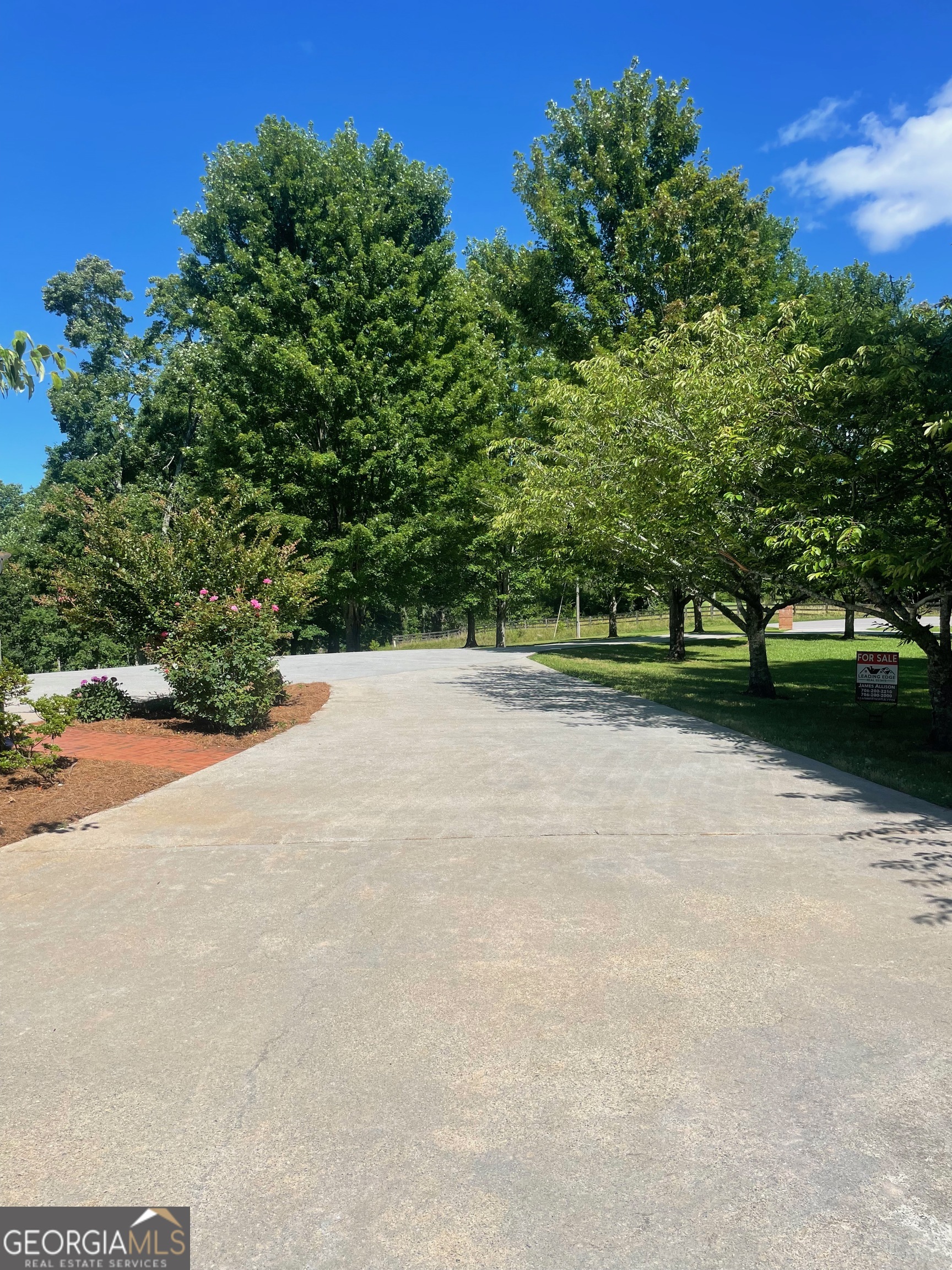 1545 Sam Bell Road Clarkesville GA 30523