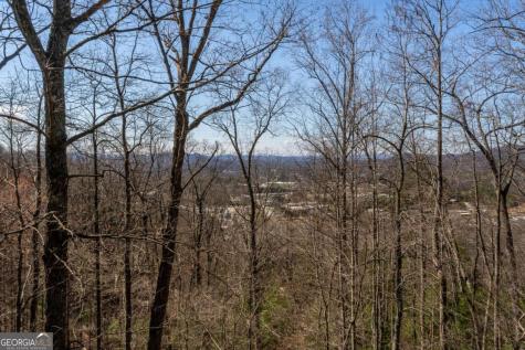 257 Ajs Holler Blairsville GA 30512