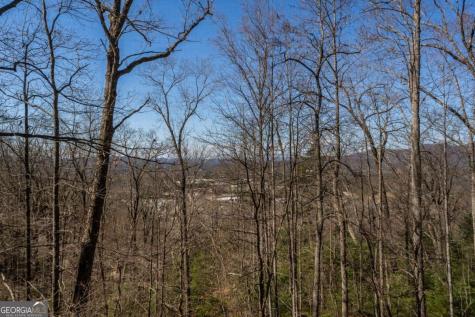 257 Ajs Holler Blairsville GA 30512