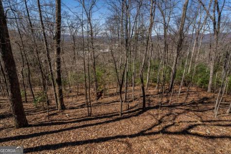 257 Ajs Holler Blairsville GA 30512