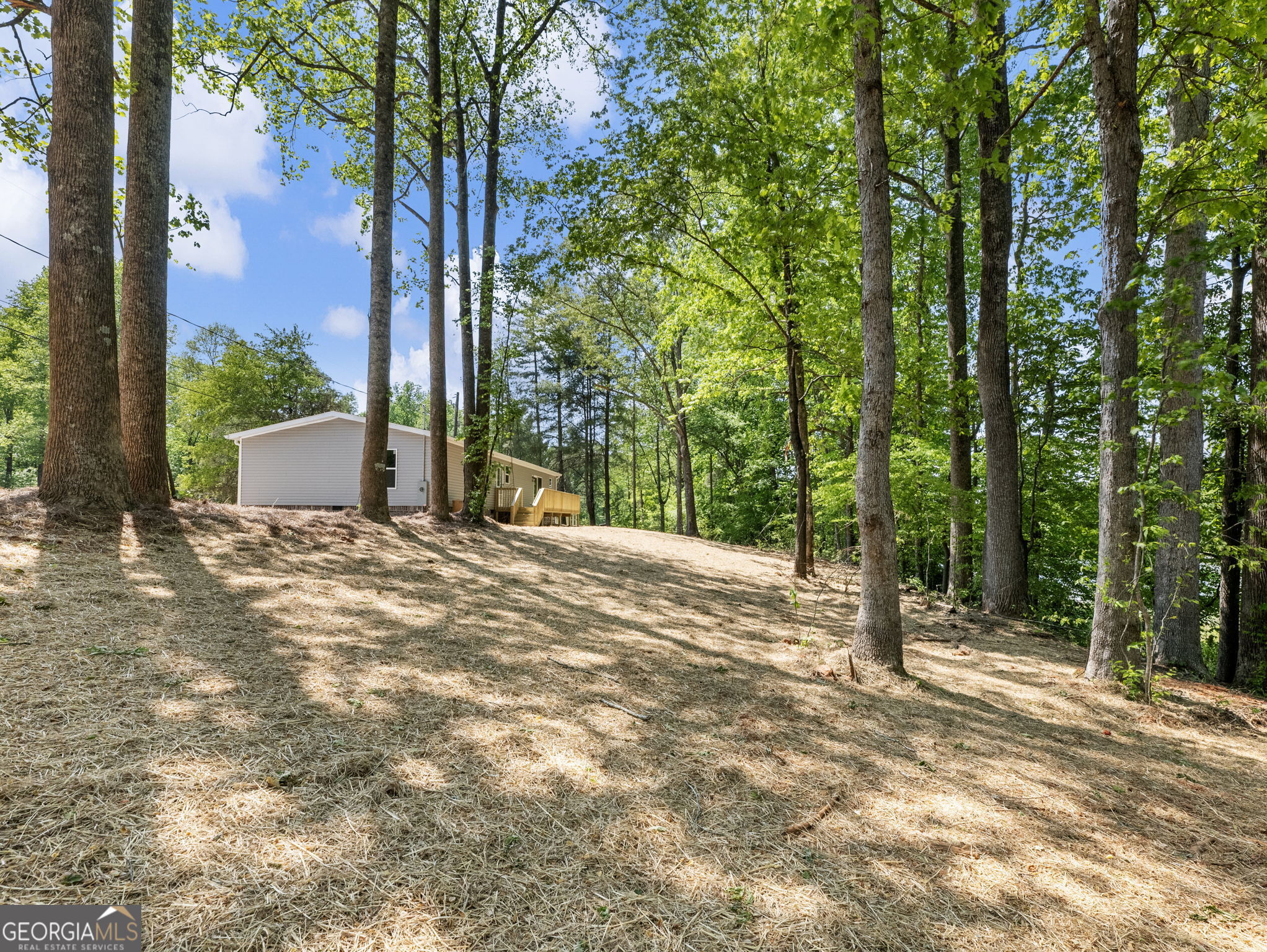 5228 Bogus Road Gainesville GA 30506