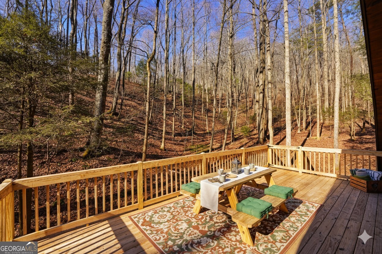 172 Sweetwater Road Blue Ridge GA 30513