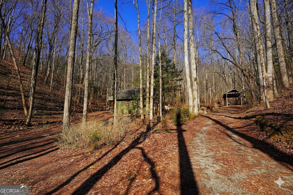 172 Sweetwater Road Blue Ridge GA 30513