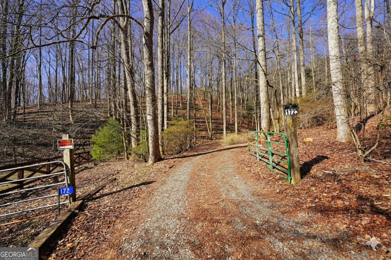 172 Sweetwater Road Blue Ridge GA 30513