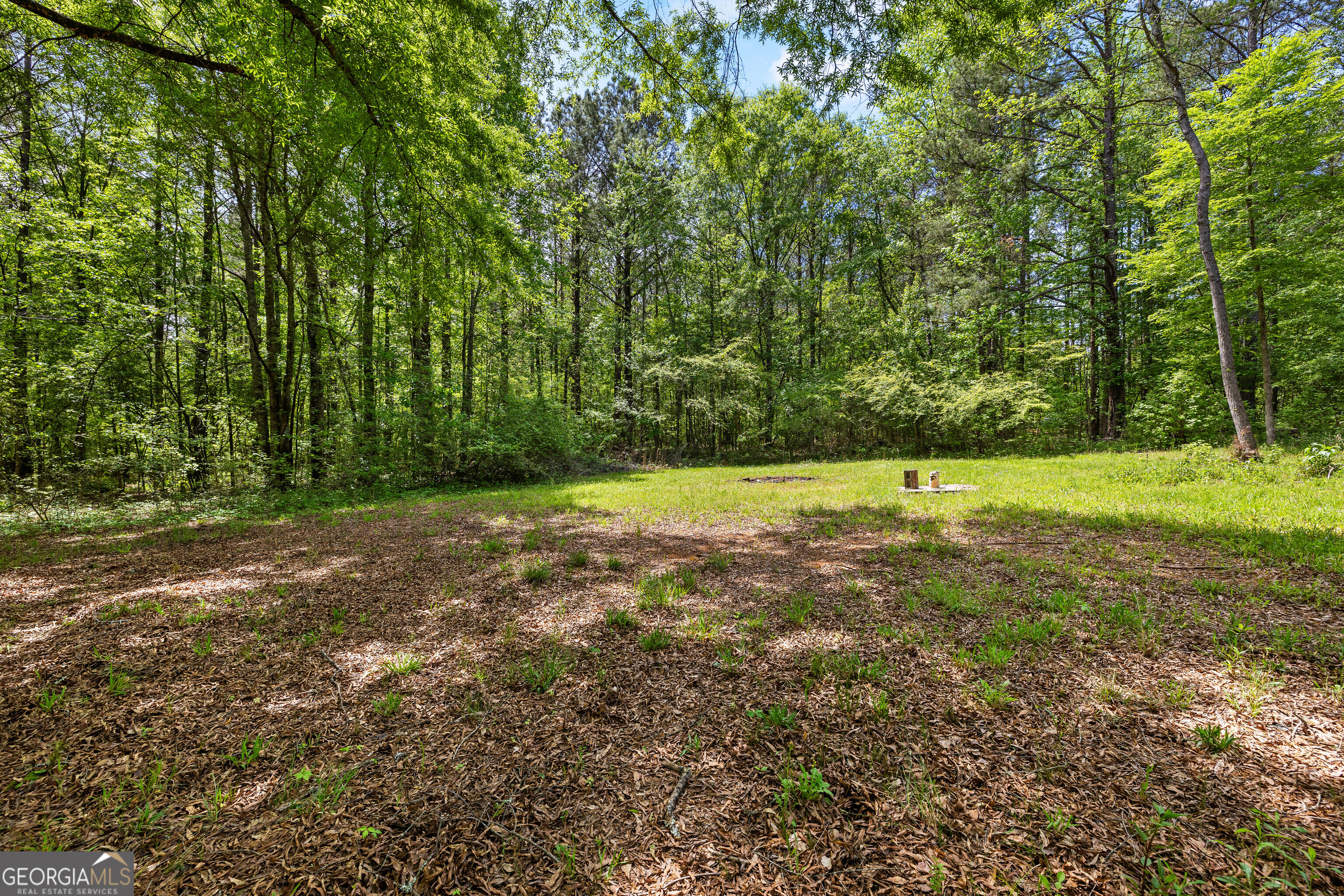 1480 Al Roberts Road Senoia GA 30276