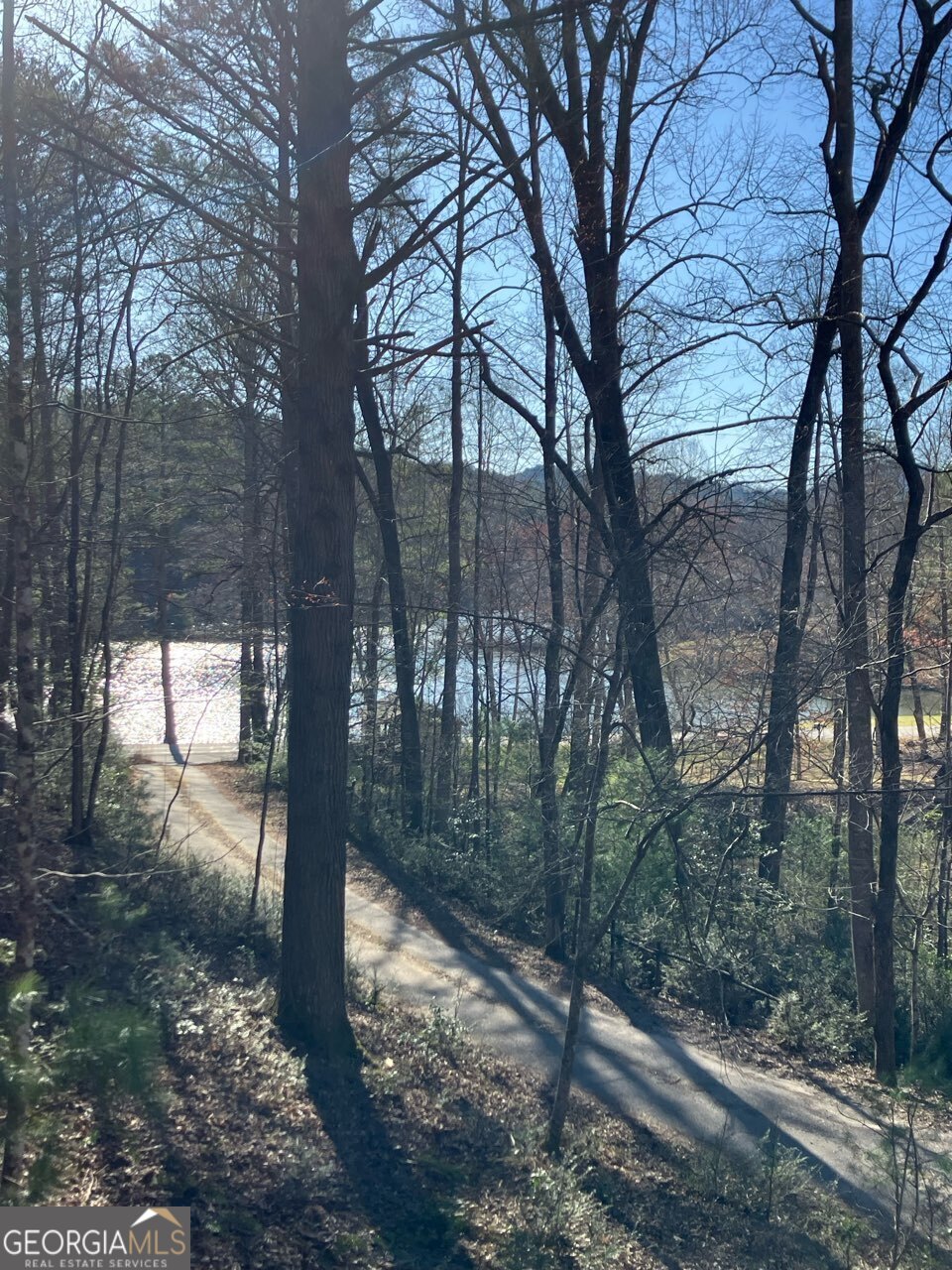68 Star Lake Lane Sautee Nacoochee GA 30571