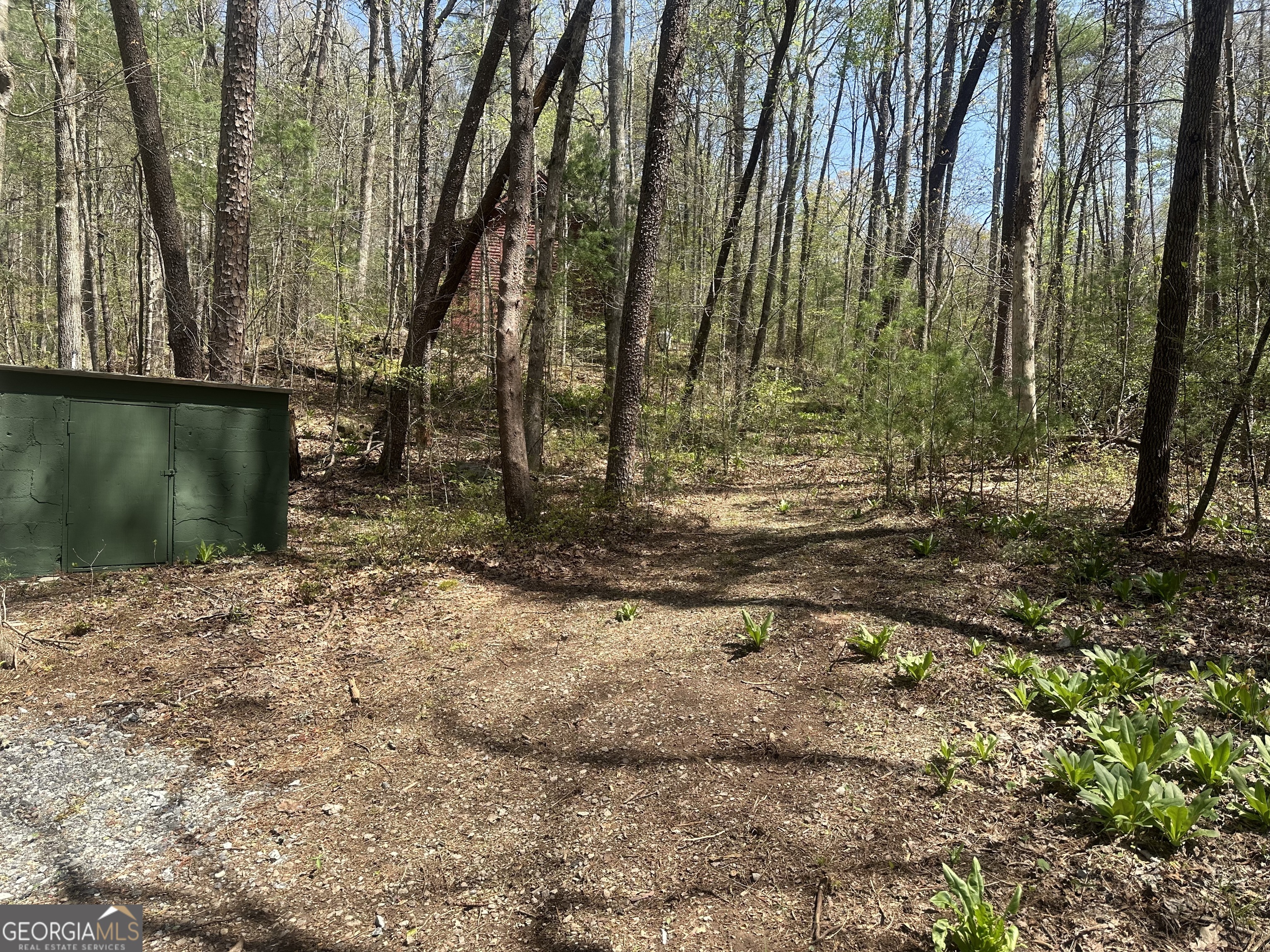 68 Star Lake Lane Sautee Nacoochee GA 30571