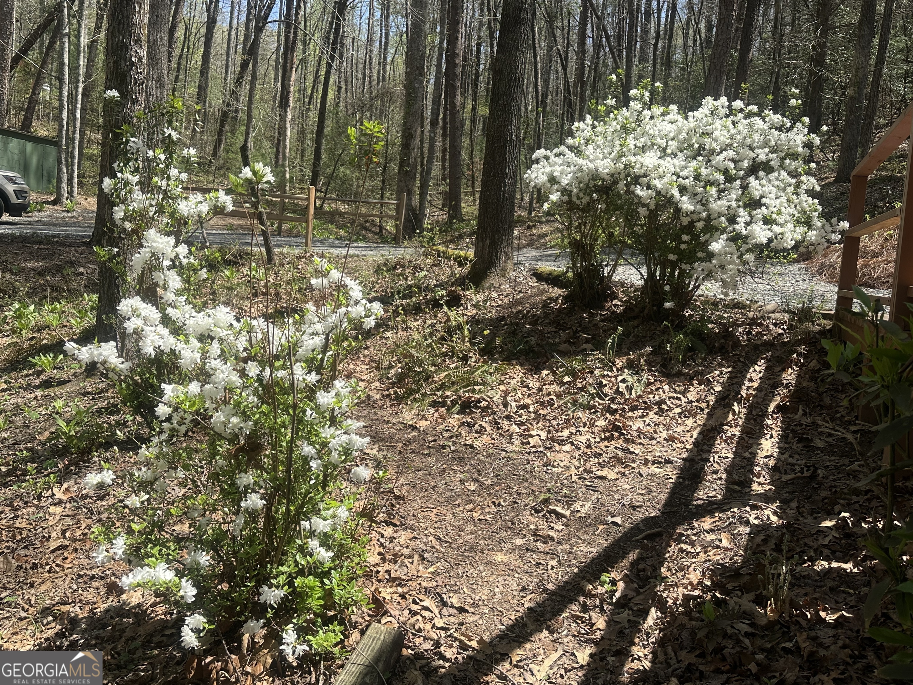 68 Star Lake Lane Sautee Nacoochee GA 30571