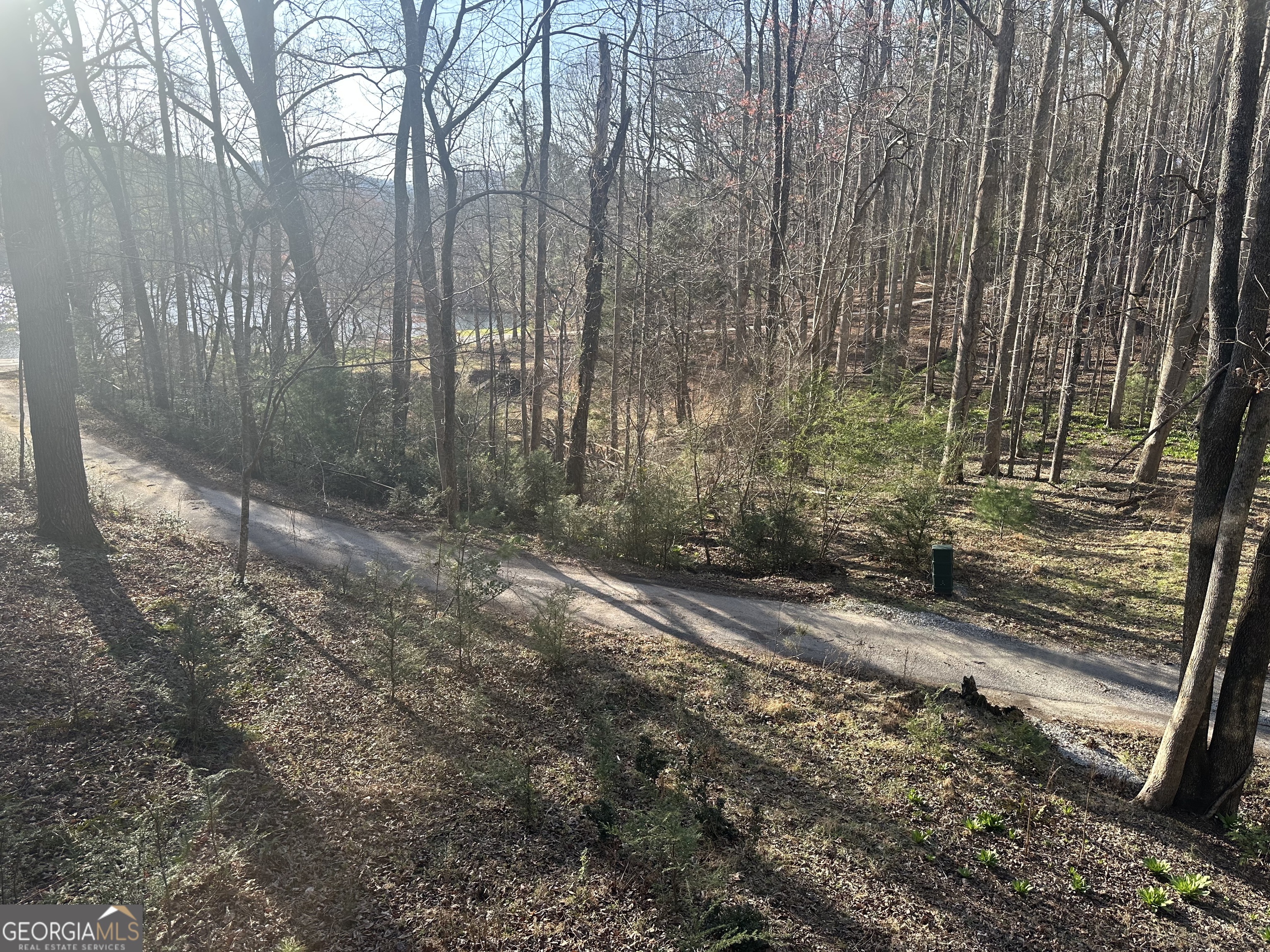68 Star Lake Lane Sautee Nacoochee GA 30571