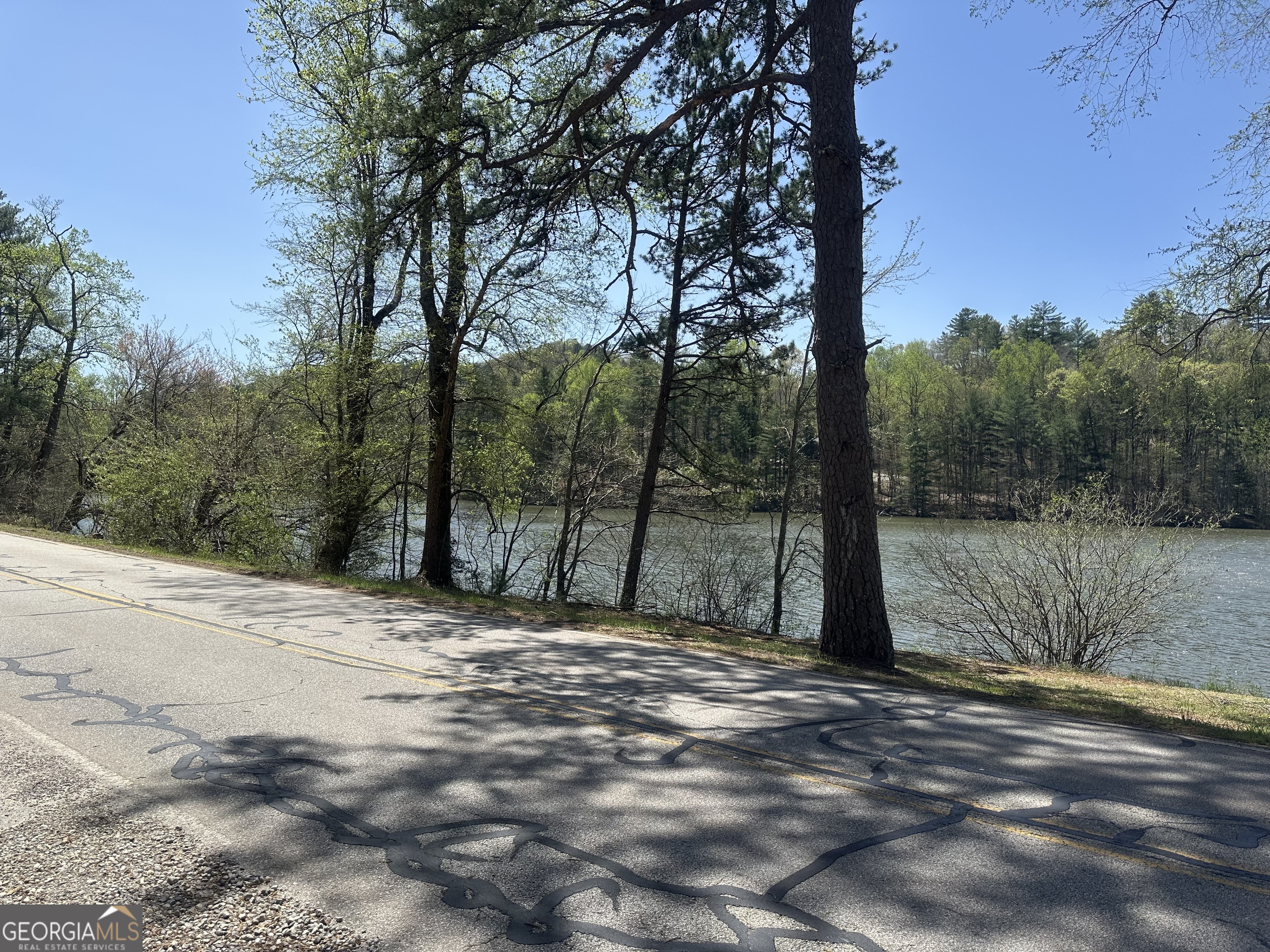 68 Star Lake Lane Sautee Nacoochee GA 30571