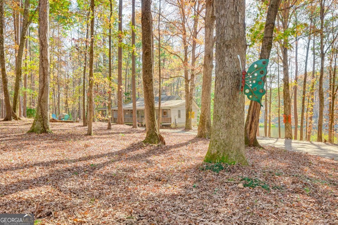 145 Stillwaters Lane Hamilton GA 31811