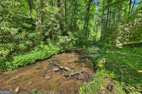 280 Serenity Place Ellijay GA 30540