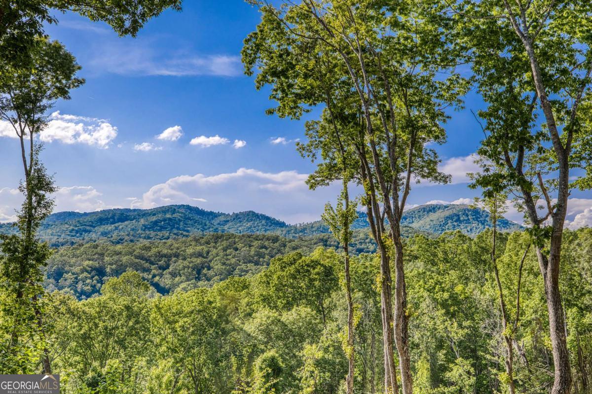 245 Mountain Retreat Drive Morganton GA 30560