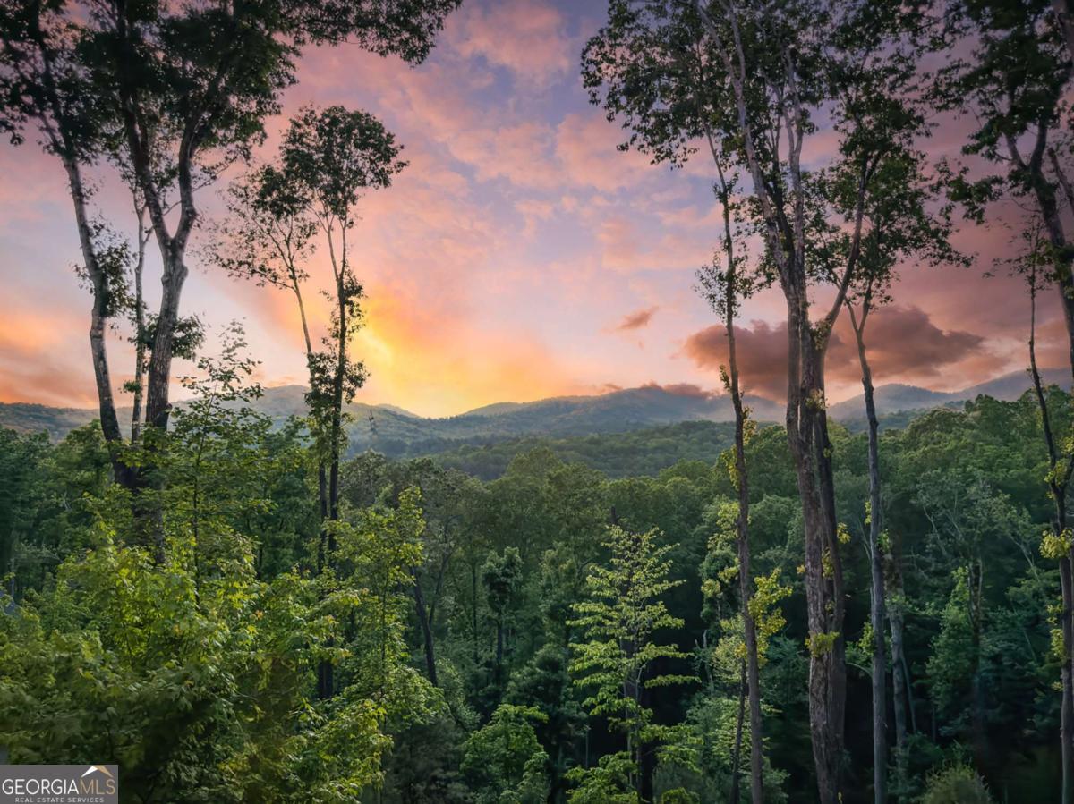 245 Mountain Retreat Drive Morganton GA 30560