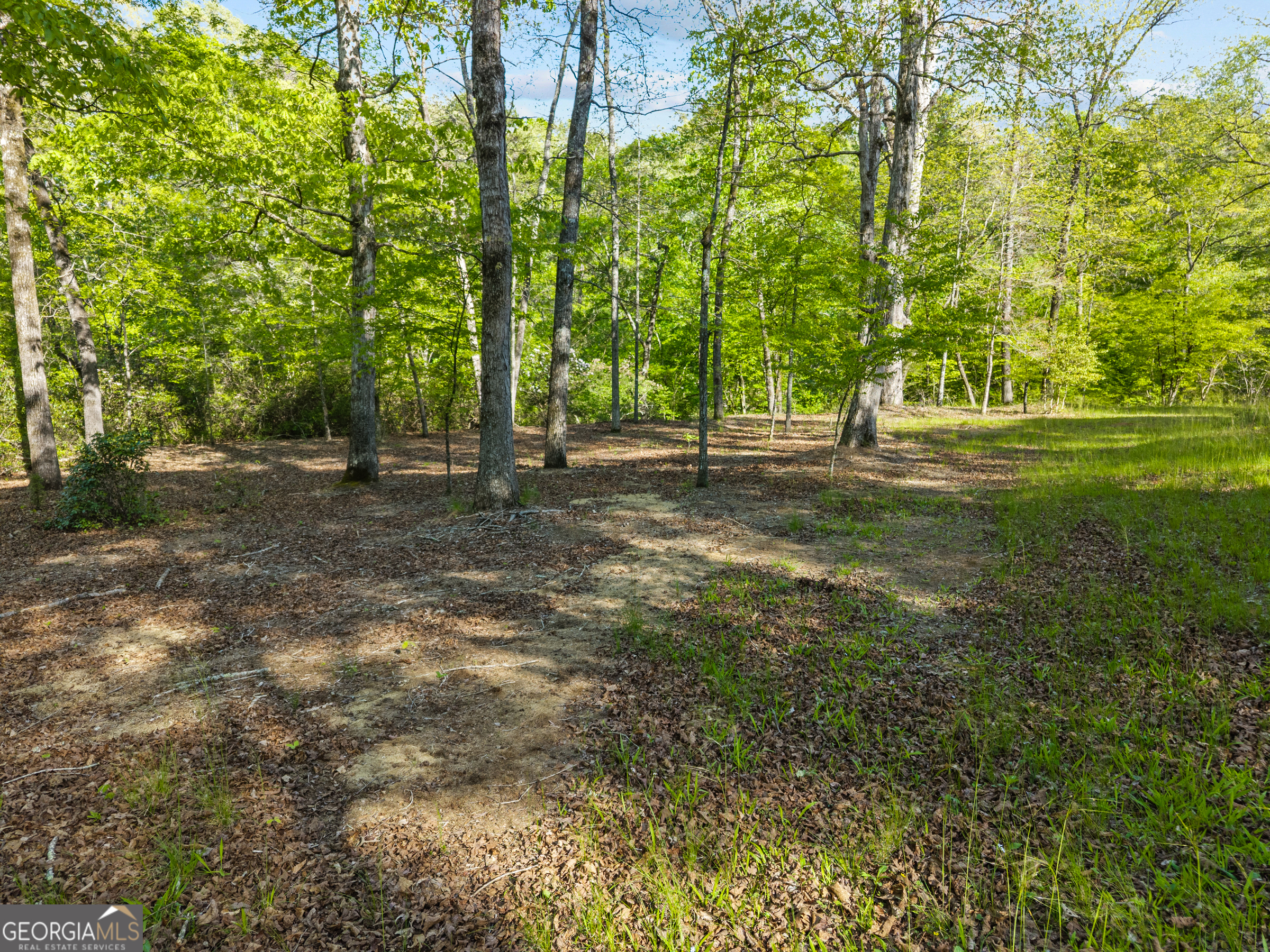 1070 Riverwalk Pointe Road Bishop GA 30621