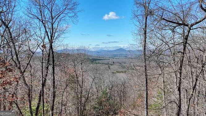 330 Mattie Lane Blairsville GA 30512