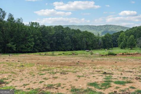 207 Canyon Pass Cleveland GA 30528