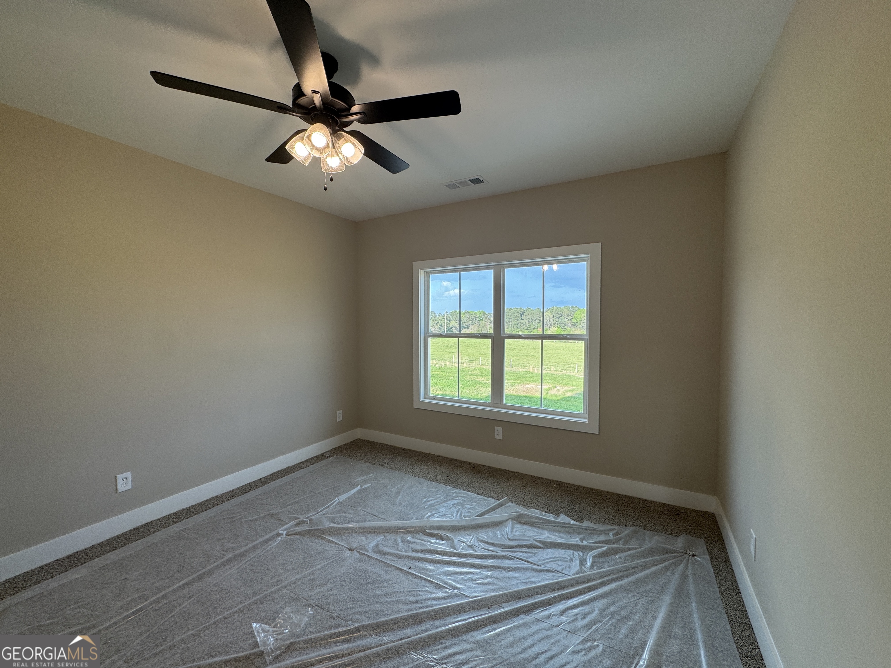 160 Melville Brown Road Williamson GA 30292