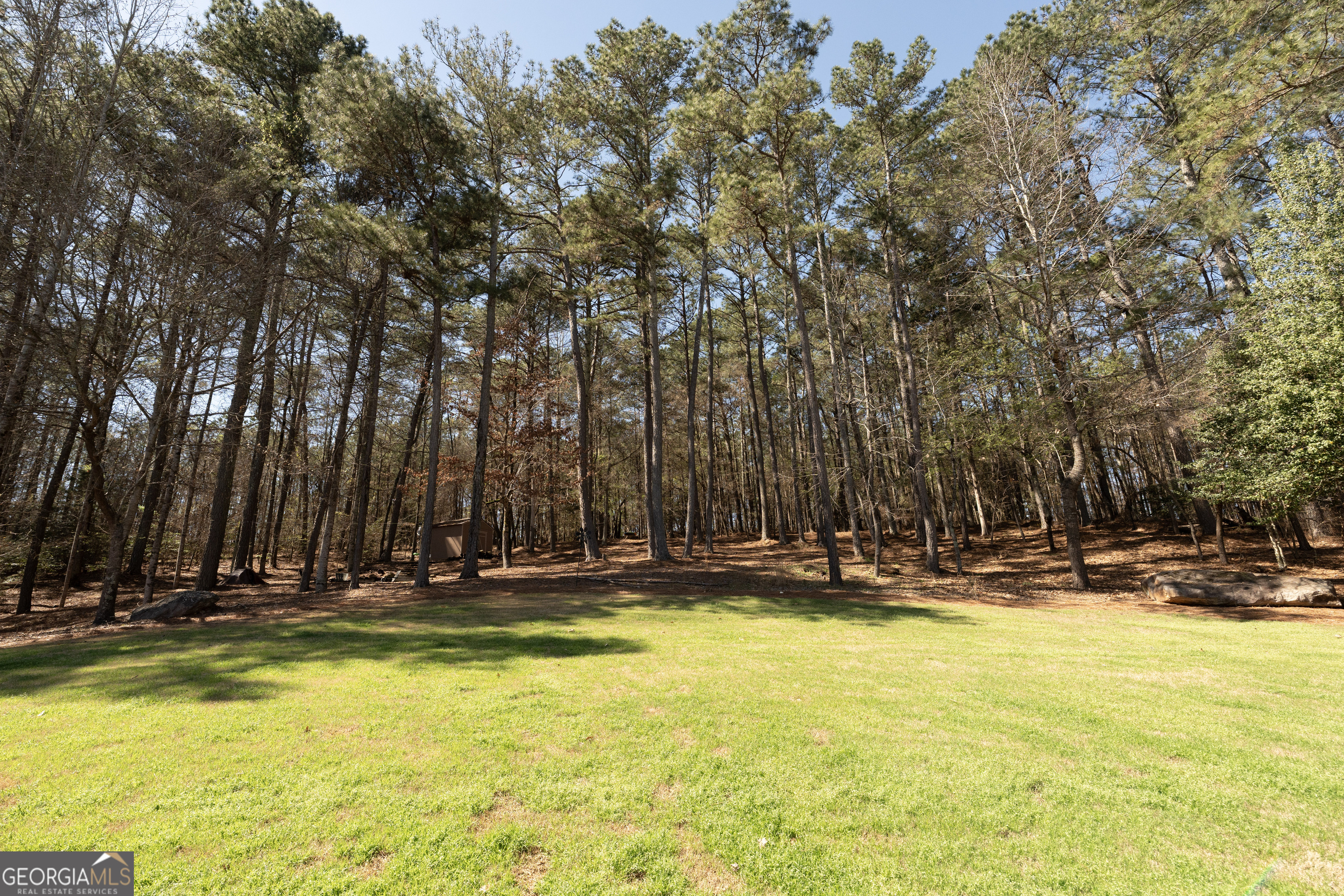208 Chandler Walk Loganville GA 30052