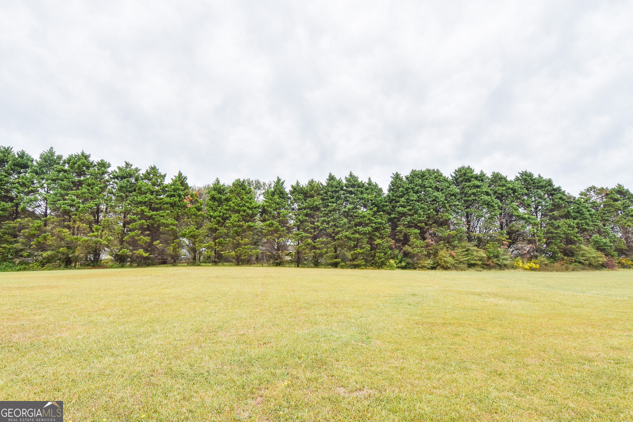 111 Meadowview Lane Williamson GA 30292