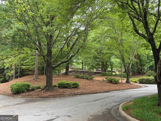1119 Sandy Lane Drive Johns Creek GA 30022