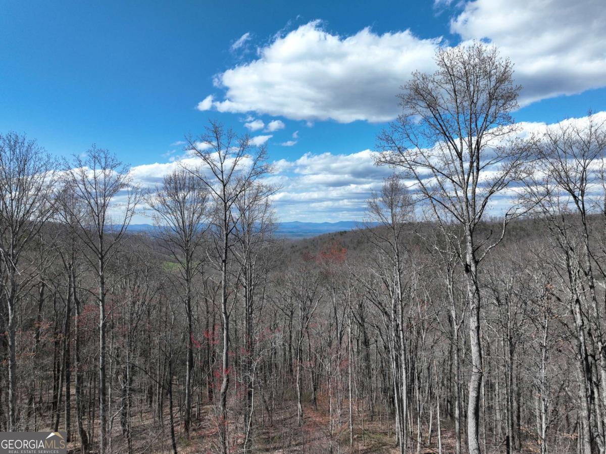 270R Stone Cliff Drive Ellijay GA 30536