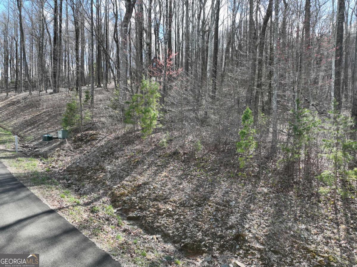 270R Stone Cliff Drive Ellijay GA 30536