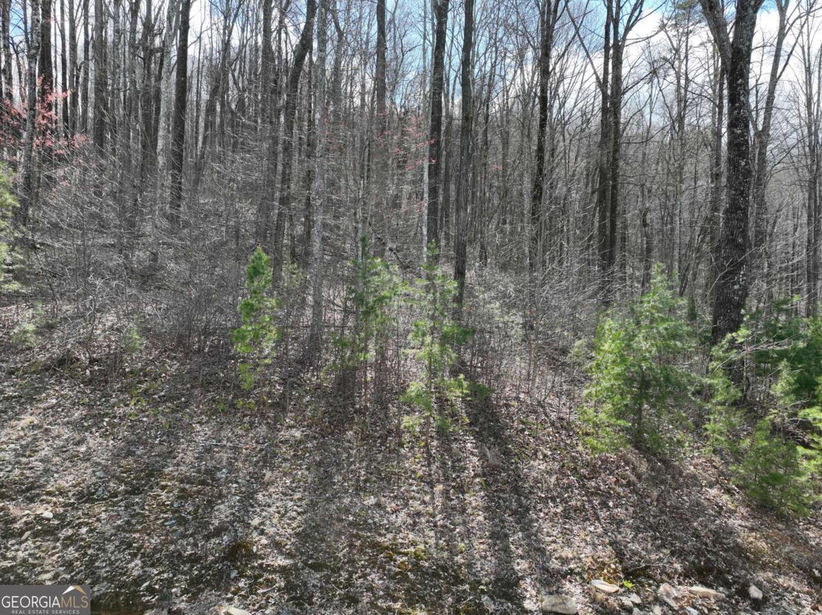 270R Stone Cliff Drive Ellijay GA 30536