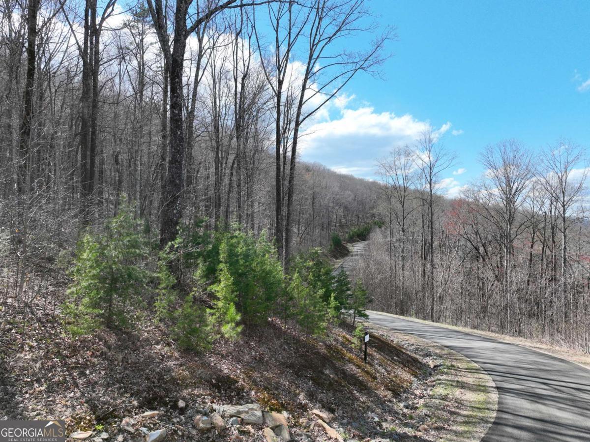 270R Stone Cliff Drive Ellijay GA 30536