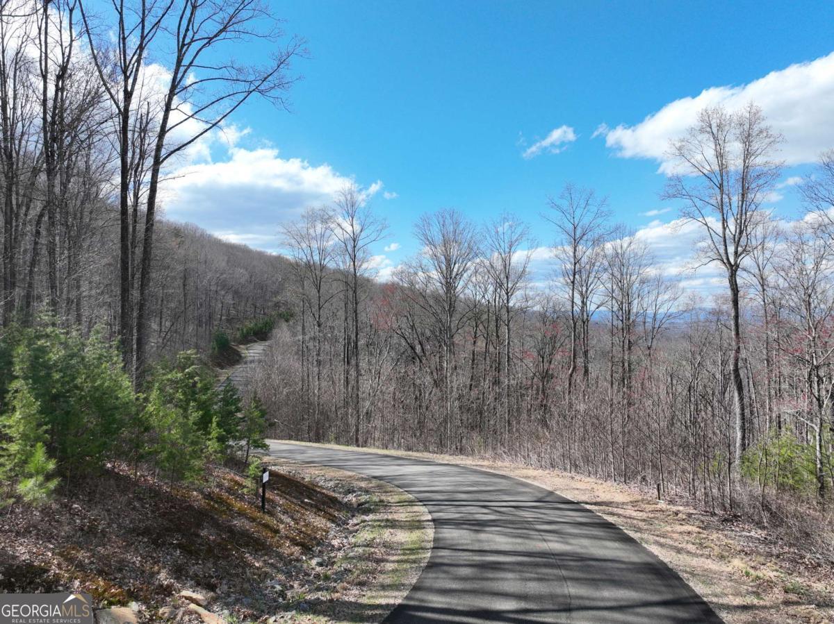 270R Stone Cliff Drive Ellijay GA 30536