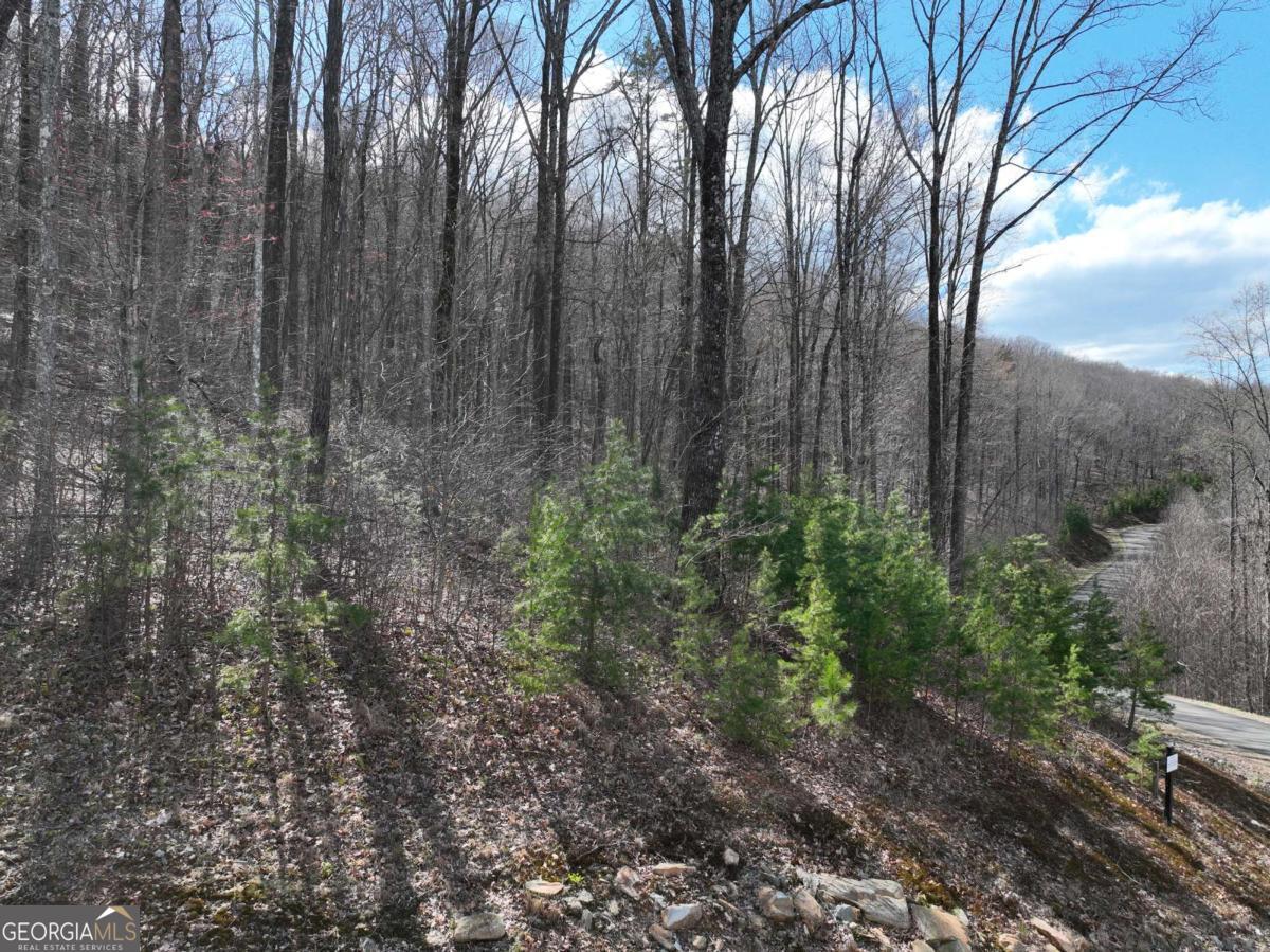 270R Stone Cliff Drive Ellijay GA 30536