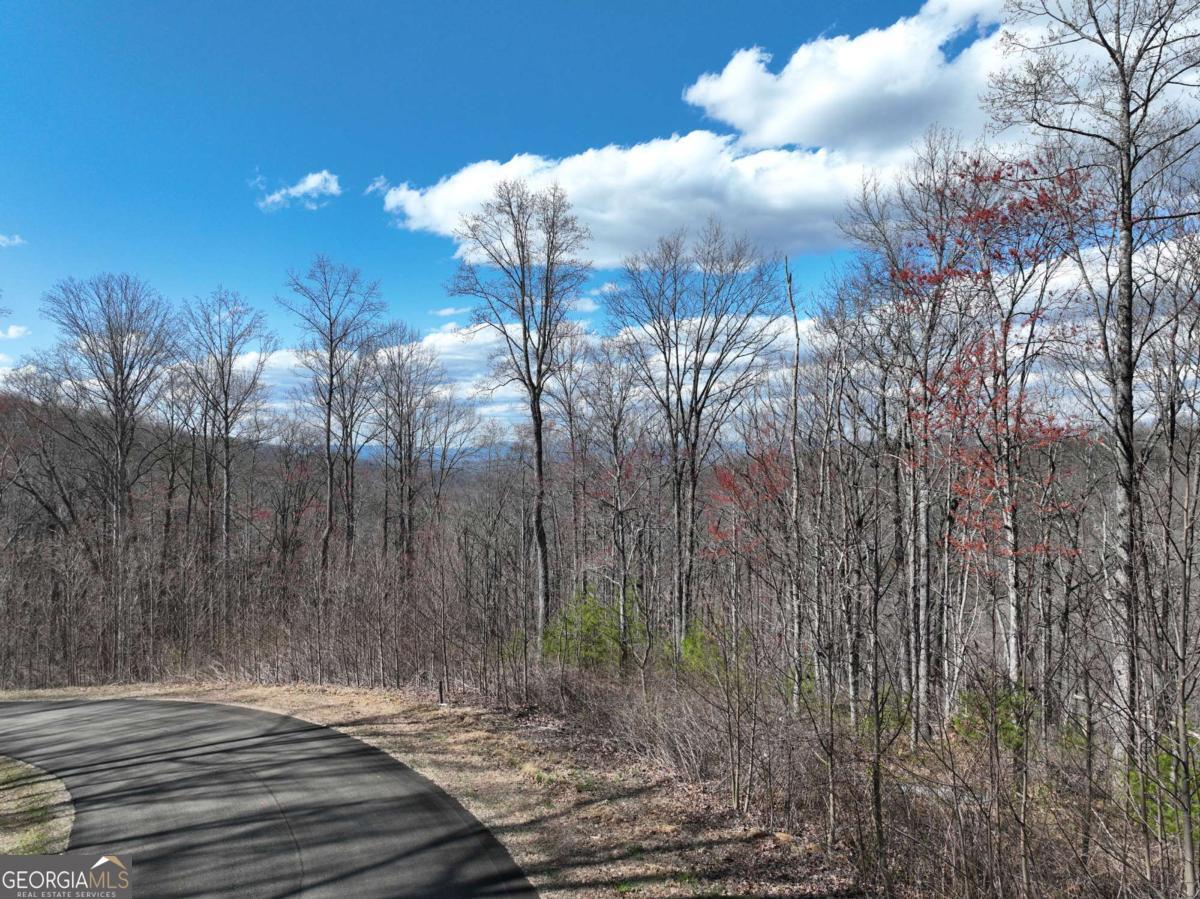 270R Stone Cliff Drive Ellijay GA 30536