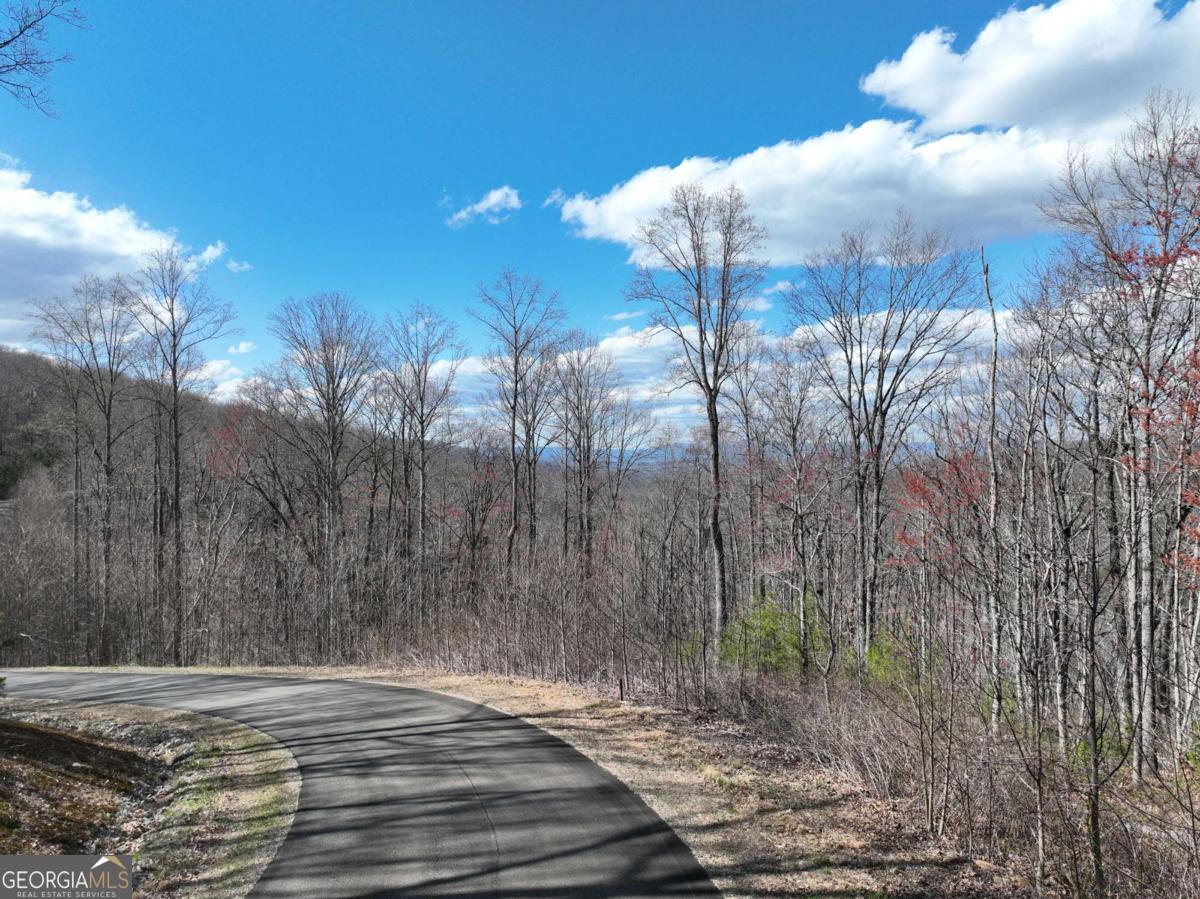 270R Stone Cliff Drive Ellijay GA 30536