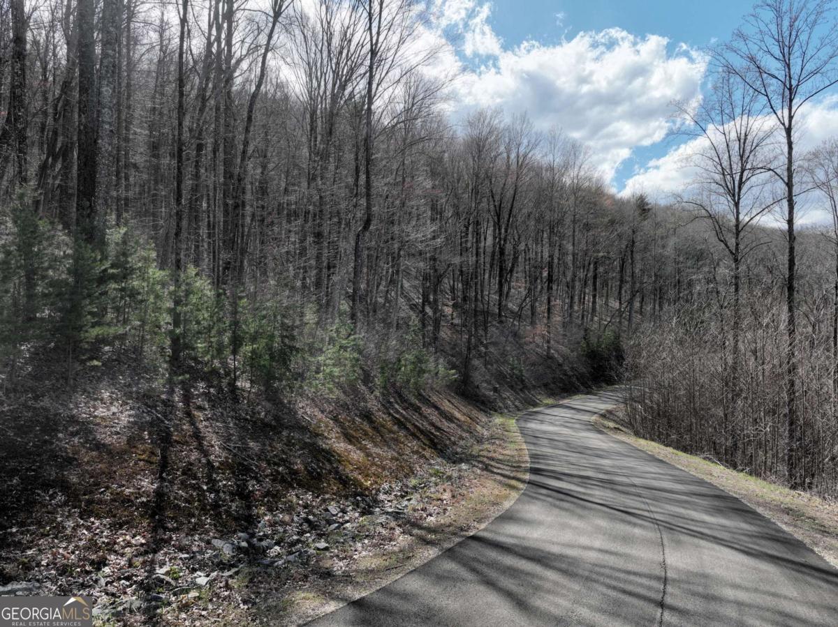270R Stone Cliff Drive Ellijay GA 30536