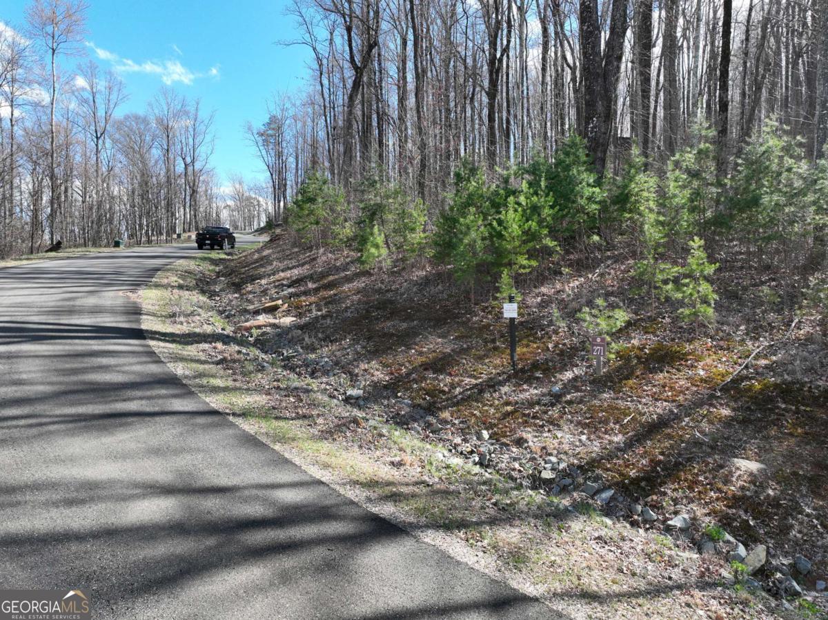 270R Stone Cliff Drive Ellijay GA 30536