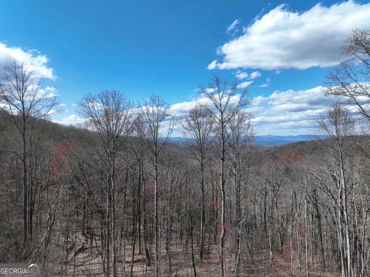 270R Stone Cliff Drive Ellijay GA 30536