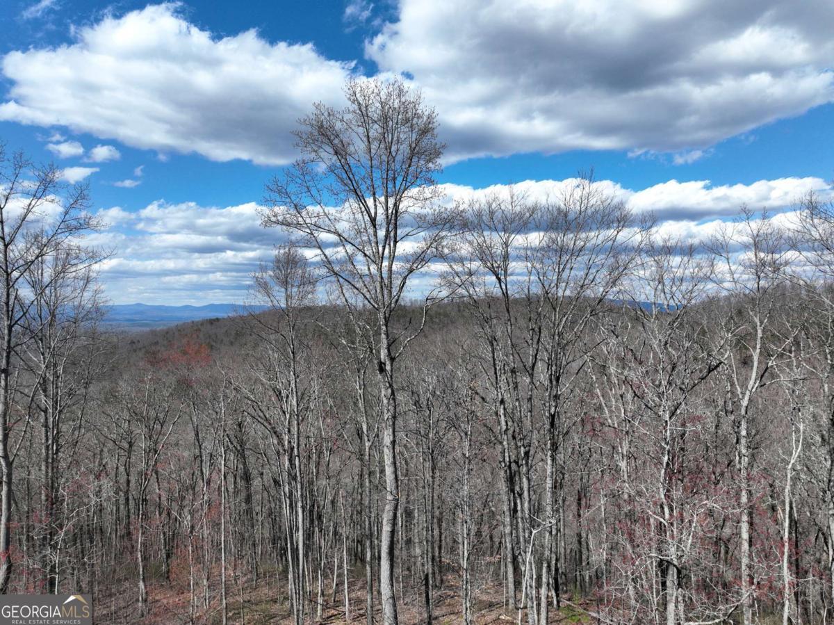 270R Stone Cliff Drive Ellijay GA 30536