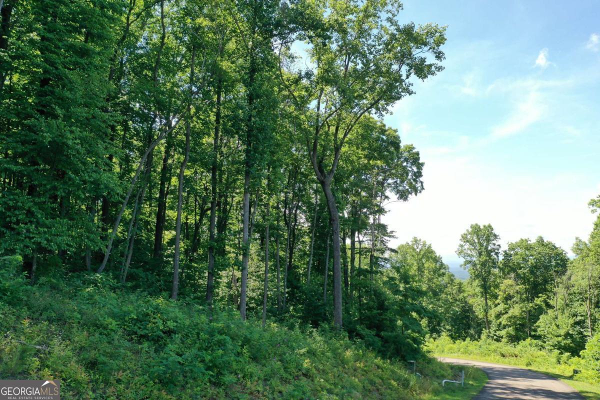270R Stone Cliff Drive Ellijay GA 30536