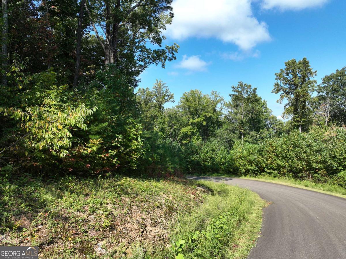 270R Stone Cliff Drive Ellijay GA 30536