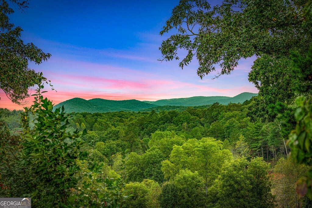 1241 Scenic Drive Blue Ridge GA 30513