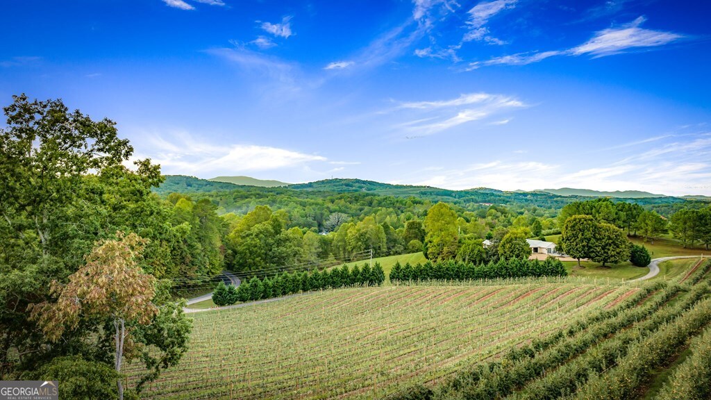 1241 Scenic Drive Blue Ridge GA 30513