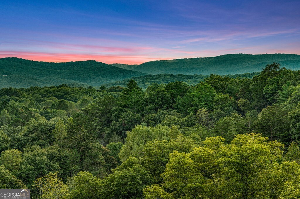 1241 Scenic Drive Blue Ridge GA 30513