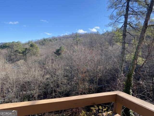 373 Western Way Rabun Gap GA 30568
