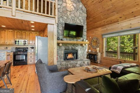 229 Old Mill Pond Road Mineral Bluff GA 30559